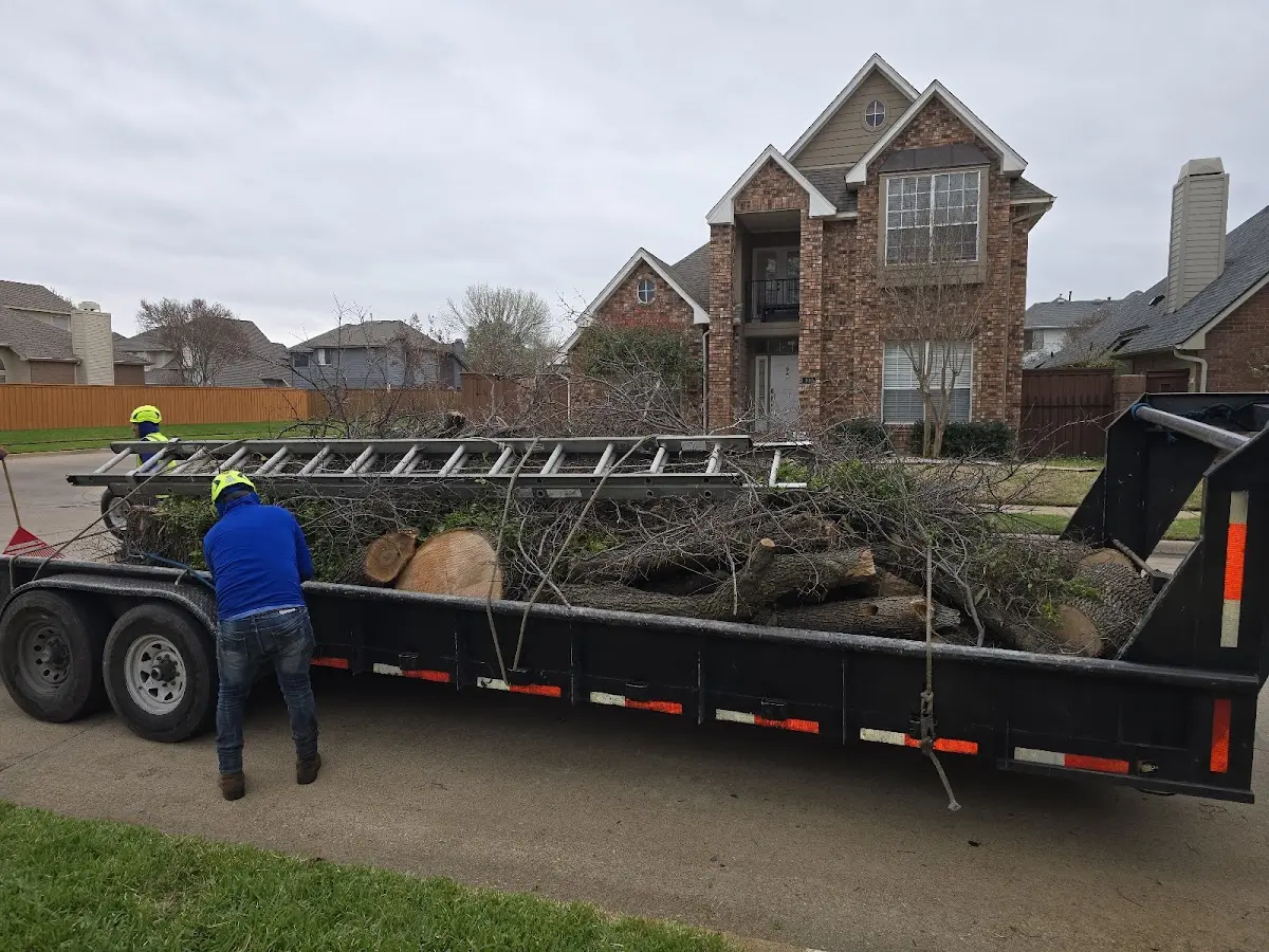 Expert Tree Removal with proper safety equipment in West Union